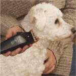 WAHL PET CLIPPER HAIR CUTTING KIT | 9160-2018 - Image 3