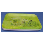 MELAMINE TRAY (34*32CM) | DBT-009872
