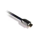 FORZA PREMIUM HDMI CABLE 10FT | FAV-HD10AP