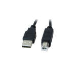 XTECH 6FTUSB CABLE A-MALE TO B-MALE | XTC-307