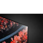 LG 55" 4K 2160P HDR SMART OLED TV | OLED55C9PUA - Image 8