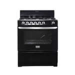 FRIGIDAIRE 30" FREESTANDING GAS RANGE | FKGH30J3MQB