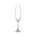 MILVUS CHAMPAGNE GLASSES | 751-725073
