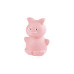TITIZ ZOO MONEY BOX | TP286 - Image 4