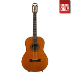 ROLLINS EPIPHONE PRO-1 CLASSIC NYLON STRING GUITAR | GIB-EAPCANCH1 - Image 7