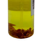BIBI'S PRODUCTS ROSE FACE AND BODY OIL | RO-OIL - Image 2