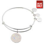 ALEX AND ANI RETIREMENT & RAINBOW HEART BEADED BANGLE SET OF 2 | AA3136 - Image 2