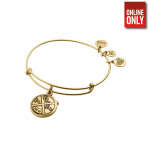 ALEX AND ANI THE POLAR EXPRESS POCKET WATCH CHARM BANGLE | AA60