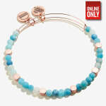 ALEX AND ANI SIENA & COASTAL BANGLE SET OF 2 | AA821 - Image 3
