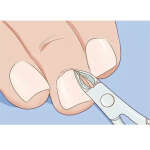 EDEN CUTICLE NIPPER | ISSA-1685 - Image 2