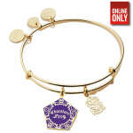 ALEX AND ANI HARRY POTTER 'CHOCOLATE FROG' DUO CHARM BANGLE | AA93