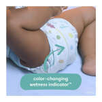 PAMPERS BABY-DRY SIZE 6 JUMBO PACK 21 PIECES | GUI-1386213 - Image 3