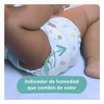 PAMPERS BABY-DRY SIZE 4 GIANT 10-17KG | GUI-1386234 - Image 4