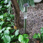 solar lamp