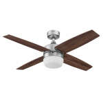 Ceiling fan