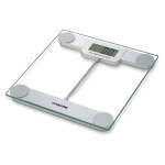 scale