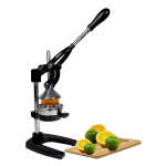 juice extractor