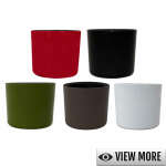 PLANT MíMOZA POTTERY 820 ML | VARIETY
