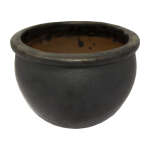 PLANT POTTERY