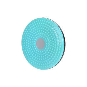 MINISO TWISTING WAIST DISC