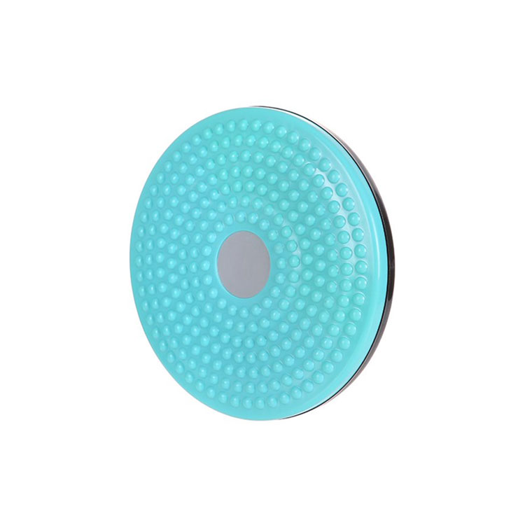 MINISO TWISTING WAIST DISC