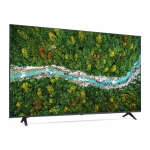 LG 55" TV