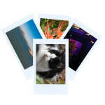 FUJIFILM INSTAX MINI 20 SHEETS PACK | INSTAXMINI - Image 3